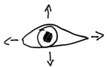Illustration of peripheral vision