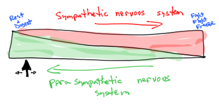 Illustration of the sliding scale between sympathetic and parasympathetic